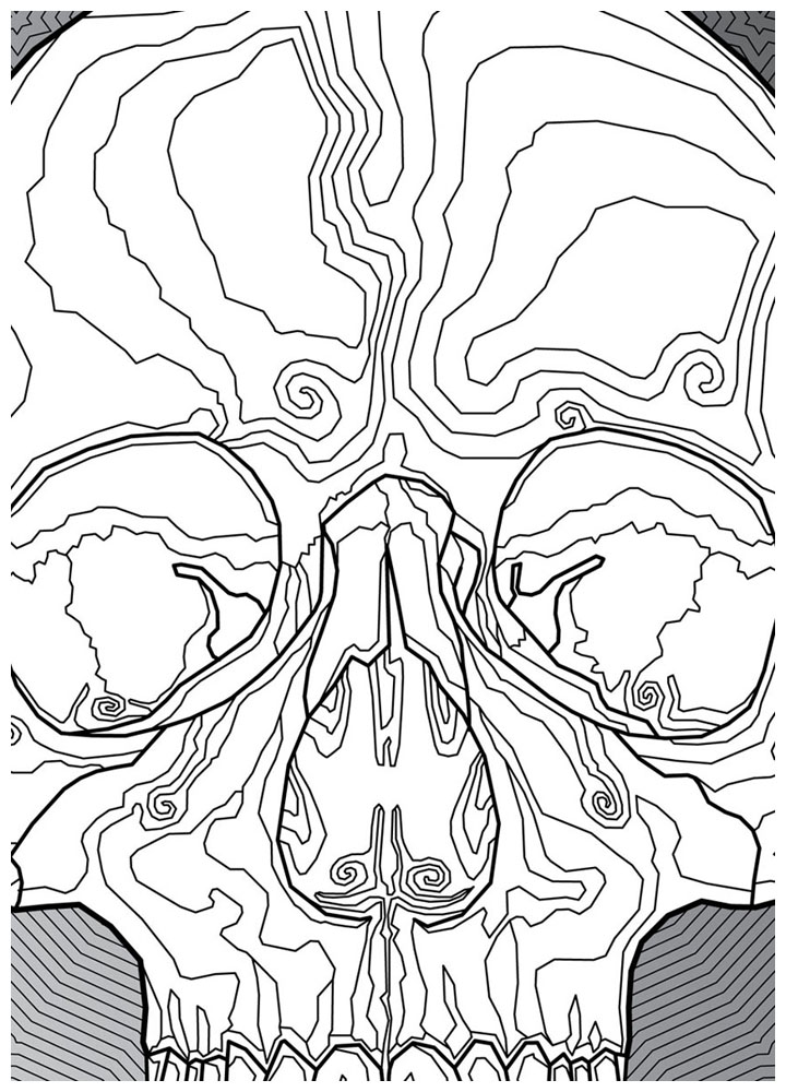 human skull v.1